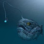 Ciri-ciri Ikan Anglerfish, Penghuni Laut Dalam yang Muncul ke Permukaan