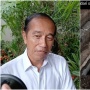Tanggapi Meme Jokowi Masuk Gorong-Gorong, Politisi PSI: Awal Kehancuran PDIP?