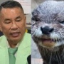 Hotman Paris Digigit Berang-berang sampai Diobati di Singapura, Memang Boleh Pelihara Otter di Rumah?