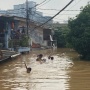 Banjir 3 Meter di Pancoran Tenggelamkan Atap Rumah, Sejumlah Bocil Malah Asyik Berenang: Seru!