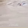 Buntut Nekat Terobos Banjir, Mobil di Bekasi Viral Terbawa Arus, Warga Gotong Royong Membantu
