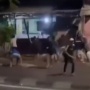 Brutal! Gerombolan Pemuda Balap Liar Rusak Rumah Pak RT di Pasar Rebo, Polisi Cari Pelaku Meski Korban Tak Lapor