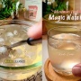 Resep Magic Water, 'Air Putih' Ajaib dari Filipina Segar untuk Buka Puasa