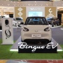 Beli Mobil Wuling Bisa Bawa Pulang BinguoEV