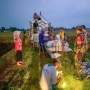 Serapan Gabah BULOG Capai 300.000 Ton Setara Beras, Siap Hadapi Panen Raya 2025