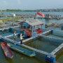 PLN Indonesia Power Alirkan Listrik 83.082 GWh di Sepanjang 2024
