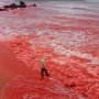 Mirip Kisah di Alkitab, Fenomena Hujan Darah di Iran Bikin Merinding