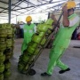 Survei Isu Prioritas Masyarakat: Ekonomi Jadi Sorotan Utama Jelang Lebaran