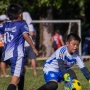 Potensi Sepak Bola Grassroot, Tak Hanya Jaring Talenta tapi Dorong Industri Olahraga