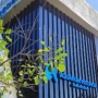Wisata Edukasi di Pangandaran: Ragam Keindahan Laut di Aquarium Indonesia