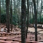 12 Tempat Wisata di Jogja yang Bikin Libur Lebaran Berkesan Termasuk Harga Tiketnya