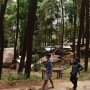 Rekomendasi Wisata di Madiun untuk Libur Lebaran 2025 Lengkap: Ada Alam, Sejarah, Hingga Keluarga
