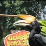 Harga Tiket Terbaru Gembira Loka Zoo Yogyakarta Libur Lebaran 2025, Berikut Tips Berkunjungnya!