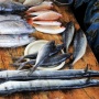 3 Jenis Ikan yang Biasa Dijadikan sebagai Menu Hidangan Saat Lebaran