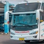 Harga Tiket Bus Pahala Kencana Terbaru untuk Mudik Lebaran 2025: Jakarta-Surabaya Mulai Rp 310.000!