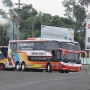 Jadwal dan Harga Tiket Bus Rosalia Indah Solo - Jakarta dan Sebaliknya Selama Lebaran 2025