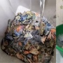 Viral di TikTok! Tren Mencuci Uang THR agar Tampak Baru, Boleh Dicoba atau Justru Berisiko?