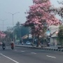 3 Jalur Alternatif Mudik ke Magelang Tanpa Macet dari Semarang, Jogja dan Purwokerto