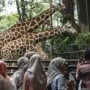 Sebanyak 42.470 Orang Kunjungi Kebun Binatang Ragunan Hari Ini