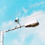 Mau Mudik Lancar? Cek 4 Aplikasi CCTV Tol Pantau Arus Mudik 2025!