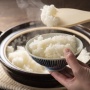 Wisatawan Asing Doyan Makan Nasi, Harga Beras di Jepang Naik Rp 466 Ribu Per Kilo