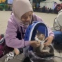 Cat Lover Cantik Asal Tangerang Boyong Kucing Kesayangan Mudik ke Lampung