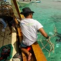 BRI Menanam Grow & Green, Ujung Tombak Pelestarian Ekosistem Laut di NTB