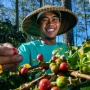 BRI Terus Dorong Kemandirian dan Kemajuan Pelaku UMKM Melalui Holding UMi