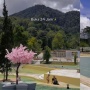 Harga Tiket Kolam Renang Air Panas Tirta Camelia Pangalengan, Viral di TikTok Jadi Tempat Estetik