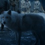Serigala Ganas di Serial Game of Thrones "Muncul" Kembali Usai Ribuan Tahun Punah