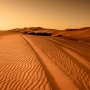 DNA Manusia Purba dari Afrika Utara Ungkap Sejarah Tersembunyi Gurun Sahara, Apa Itu?