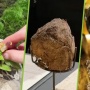 China Jual Makanan yang Terbuat dari Kotoran Gajah, Harganya Rp 9,1 Juta