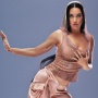 Pergi ke Luar Angkasa, Katy Perry: Saya Sangat Merekomendasikan Ini