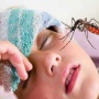 2030 Bebas Dengue? Indonesia Hadapi Tantangan Berat, Vaksin Jadi Harapan