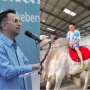 Raffi Ahmad Jatuh dari Sapi Jumbo: Sempat Pusing dan Mual!