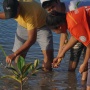 Aksi Masyarakat dan DLH Bersama GEF SGP Hijaukan Pesisir Wuihebo dengan Mangrove di Hari Bumi