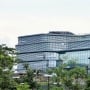 Fenomena Rojali & Rohana Bikin Heboh Ritel, Bos Unilever Santai
