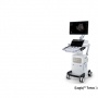 Peran Vital Teknologi AI dalam Ultrasound untuk Deteksi Dini dan Diagnostik Penyakit