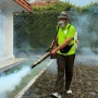 Kasus DBD Mulai Tinggi, Ini Cara Ibu Lindungi Keluarga dari Bahaya Gigitan Nyamuk