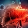 Ini Perbedaan Penyakit Hepatitis A, B, C, D, dan E