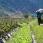 Alih Fungsi Lahan di NTB Diperketat