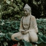 30 Kata-Kata Bijak Buddha tentang Kedamaian: Menemukan Tenang di Tengah Riuh Hidup