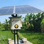 Pertamina Kembangkan Energi Transisi, Dorong Kesejahteraan 408 Petani di Desa Uma Palak