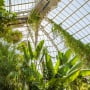 IndonesiaBelanda Jalin Kolaborasi Hortikultura Berbasis 'Greenhouse'
