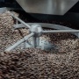 Dari Lereng Gunung hingga Pasar Global: Jalan Petani Muda Mewujudkan Kopi Berkelanjutan