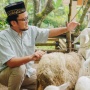 Syarat Hewan yang Boleh Dijadikan Qurban Agar Penyembelihan Idul Adha Sah