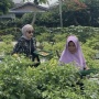 BRInita Sukses Berdayakan Masyarakat Pekanbaru, BRI Peduli Dukung Ketahanan Pangan Level Mikro