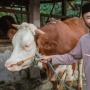 Kurban Online Apakah Ibadahnya Sah? Ini Penjelasan Lengkapnya