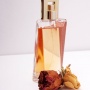5 Rekomendasi Parfum Lokal Aroma Es Teh: Rasa Segar Manis, Cocok di Cuaca Panas