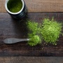 Ceremonial Grade atau Culinary Grade? Ini Panduan Memilih Matcha Sesuai Kebutuhanmu!